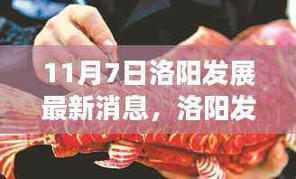 11月7日洛阳发展动态，机遇与挑战的最新消息