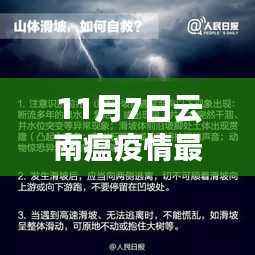 11月7日云南疫情最新消息详解，数据与评测介绍