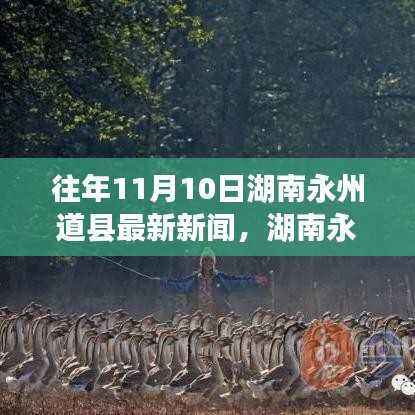 湖南永州道县新闻聚焦，11月10日历史变迁与观点探讨的最新报道