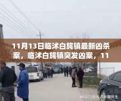 临沭白旄镇最新凶杀案揭秘,11月13日事件真相大揭秘
