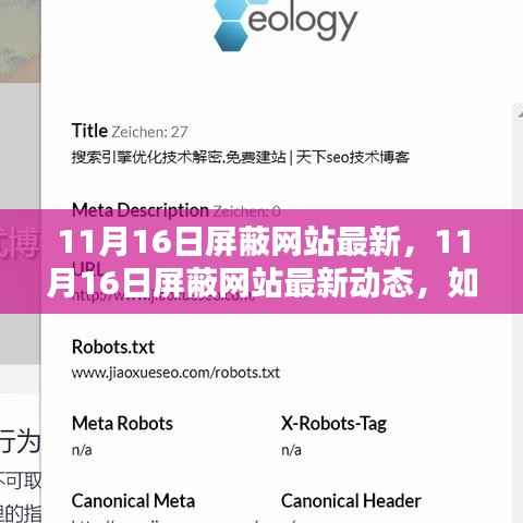 应对网站屏蔽挑战,最新动态与SEO策略优化指南