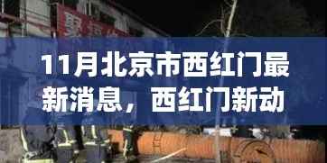 11月北京西红门最新发展动态,聚焦新动向与我的观点分析