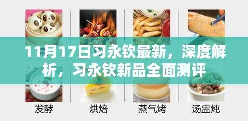 习永钦新品全面测评及深度解析(11月17日最新资讯)