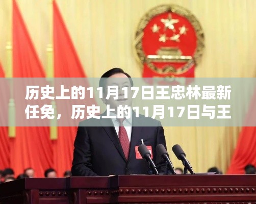 关于王忠林任免的最新消息,历史上的11月17日重要任免事件回顾