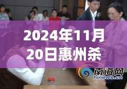 深度解析,惠州杀人案事件背景与影响,震惊全城