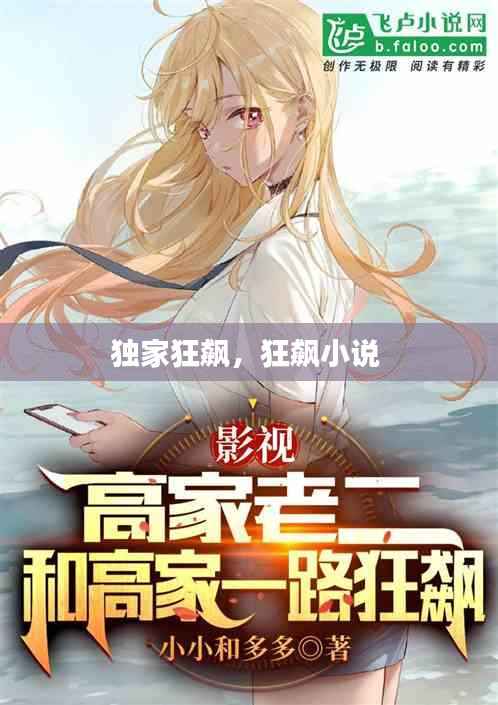 独家狂飙,狂飙小说