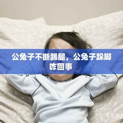 公兔子不断踢腿,公兔子跺脚咋回事