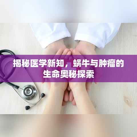揭秘医学新知,蜗牛与肿瘤的生命奥秘探索