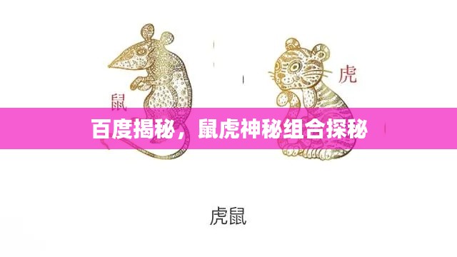百度揭秘,鼠虎神秘组合探秘